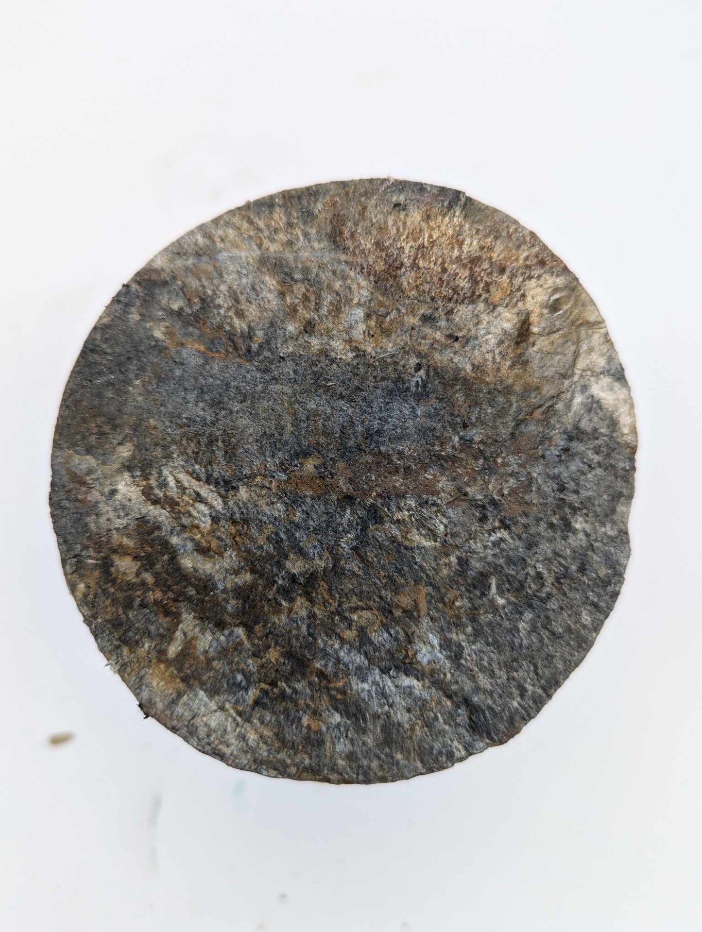 Metamorphic Drill Core (MDC14)