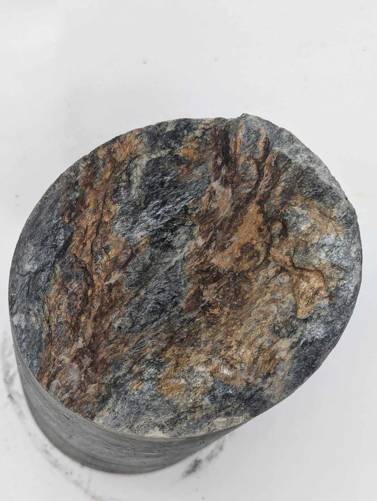 Metamorphic Drill Core (MDC8)